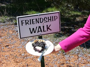 Friendship walk